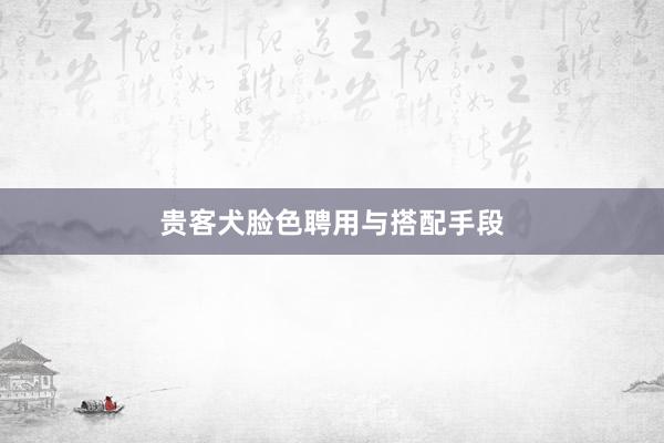 贵客犬脸色聘用与搭配手段